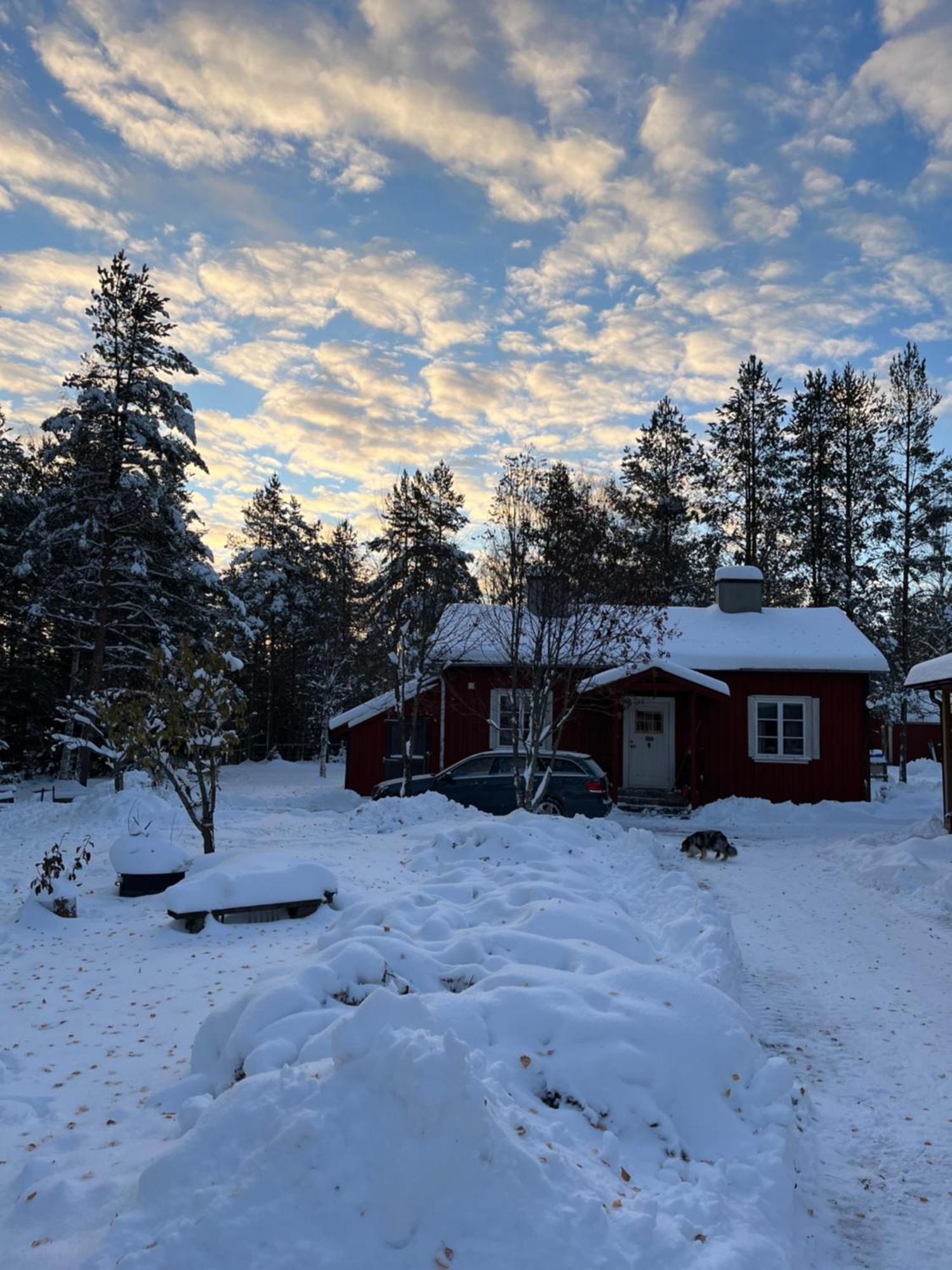 Nya Skogsgarden Hostel Mårbacken Extérieur photo