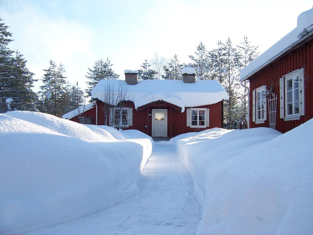 Nya Skogsgarden Hostel Mårbacken Extérieur photo